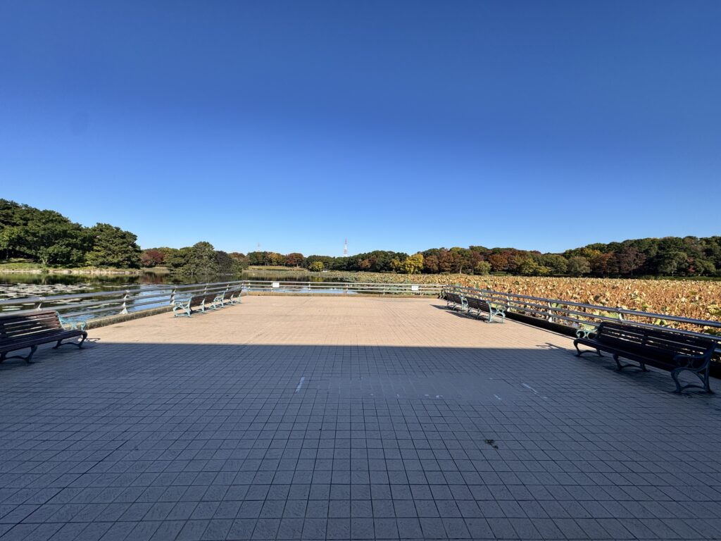 大泉緑地 大泉池展望デッキ